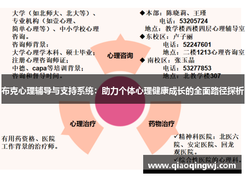 布克心理辅导与支持系统:助力个体心理健康成长的全面路径探析 布克心理辅导与支持系统:助力个体心理健康成长的全面路径探析
