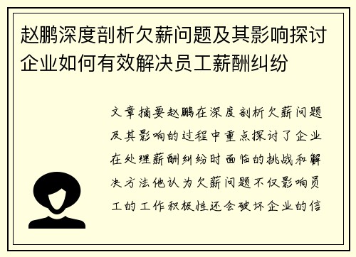 赵鹏深度剖析欠薪问题及其影响探讨企业如何有效解决员工薪酬纠纷